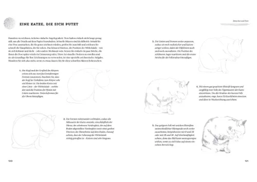 Bassermann, Edition Artbooks & Handbücher*Einfach zeichnen! Step-by-step-Anleitungen für Anfänger
