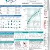 Boerm Bruckmeier Medizin-EKG pocketcard Set