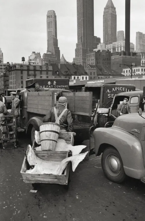 Elliott Erwitt's New York*teNeues Verlag GmbH New
