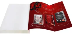 Knaur Taschenbuch Vampirromane*Empire of Sins and Souls 2 - Das gestohlene Herz
