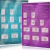 LoveBase-Media Achtsamkeit & Gesundheit*[2er Set] Yoni-Massage und Lingam-Massage (2020)