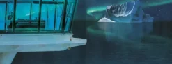 Ars Edition GmbH Psychothriller|Nach Zielgruppen*Escape Room. Christmas Cruise - Kreuzfahrt in den Tod
