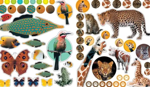 Workman Publishing Kinderbücher*EyeLike Stickers: Animals