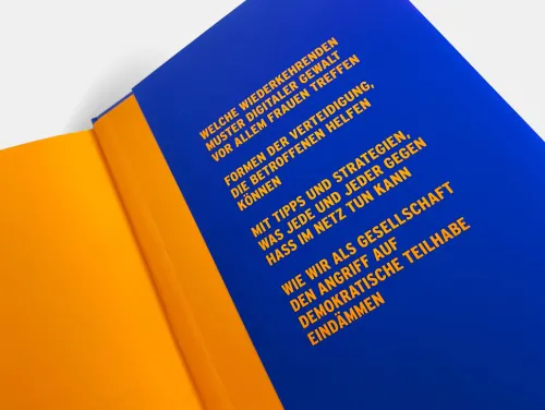 Brandstätter Verlag Gesellschaft*Feindbild Frau