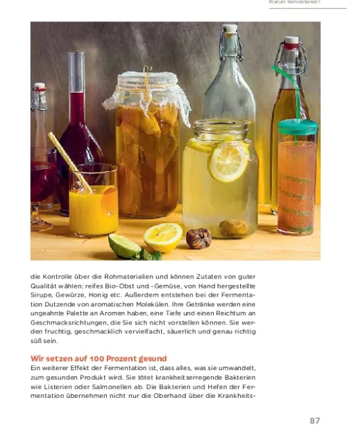 Heel Verlag GmbH Nachhaltigkeit*Fermentieren leicht gemacht: Hausgemachtes aus dem Glas