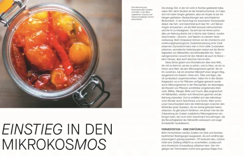 Dorling Kindersley Verlag Vollwertküche|Kochbücher Nach Zubereitung*Fermentieren. Rezepte und Techniken für Geschmack, den man nicht kaufen kann