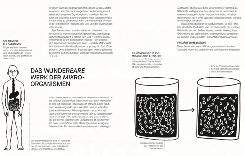 Dorling Kindersley Verlag Vollwertküche|Kochbücher Nach Zubereitung*Fermentieren. Rezepte und Techniken für Geschmack, den man nicht kaufen kann