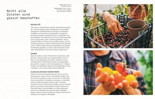 Dorling Kindersley Verlag Vollwertküche|Kochbücher Nach Zubereitung*Fermentieren. Rezepte und Techniken für Geschmack, den man nicht kaufen kann