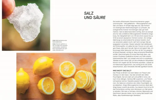 Dorling Kindersley Verlag Vollwertküche|Kochbücher Nach Zubereitung*Fermentieren. Rezepte und Techniken für Geschmack, den man nicht kaufen kann