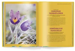 teNeues Verlag GmbH Architektur & Wohnen*Floramour: Wildblumen