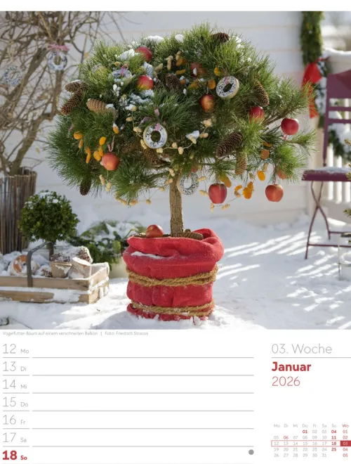 Ackermann Kunstverlag Wochenkalender*Gartenglück Wochenplaner Kalender 2026