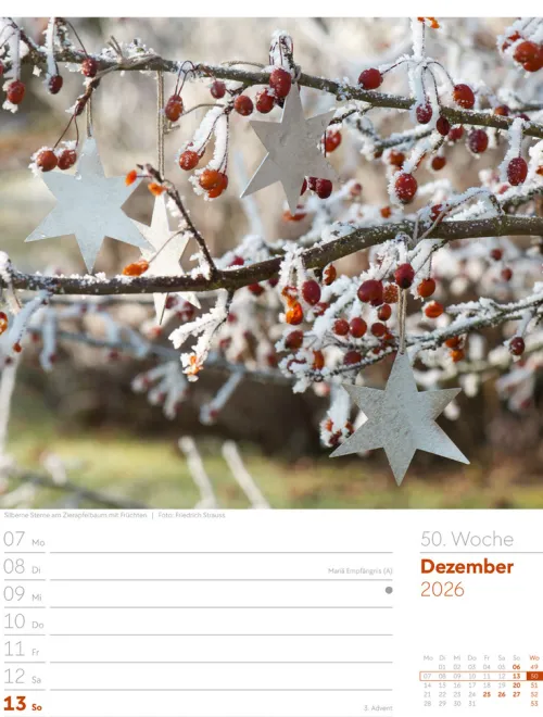 Ackermann Kunstverlag Wochenkalender*Gartenglück Wochenplaner Kalender 2026