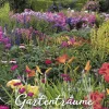Korsch Verlag GmbH Wandkalender*Gartenträume 2026