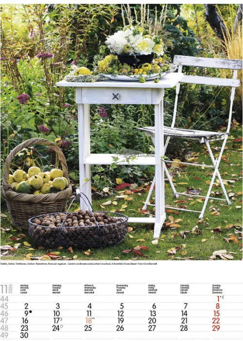 Korsch Verlag GmbH Wandkalender*Gartenträume 2026