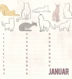 Geburtstagskalender Cats*Korsch Verlag GmbH Best
