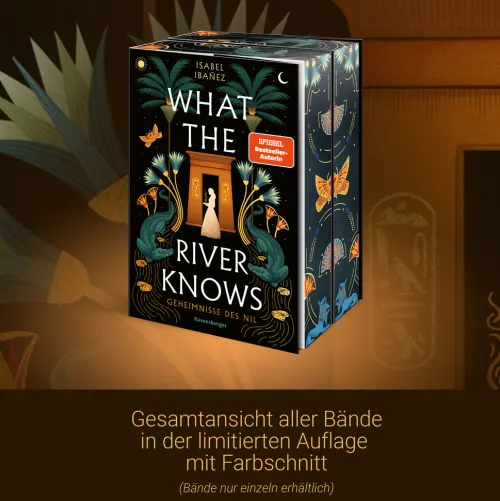 Ravensburger Verlag Young Adult|Fantasy-Geheimnisse des Nil, Band 2 - Where the Library Hides