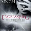 LYX Vampirromane*Gilde der Jäger - Engelskrieg