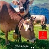 Calvendo Wandkalender*Glückliche Bergkühe (Wandkalender 2026 DIN A4 hoch), Monatskalender