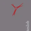 Echter Verlag GmbH Religion & Philosophie|Theologie*Gotteslob. Katholisches Gebet- und Gesangbuch. Großdruck Balacron grau - Diözese Würzburg