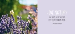 Gute Besserung*Groh Verlag