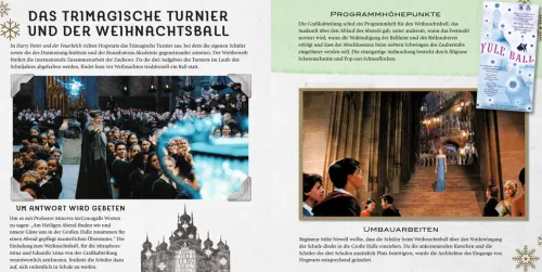 Harry Potter: Weihnachten in der Zauberwelt - Das Handbuch zu den Filmen*Panini Verlags GmbH Clearance