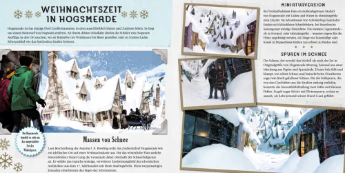 Harry Potter: Weihnachten in der Zauberwelt - Das Handbuch zu den Filmen*Panini Verlags GmbH Clearance