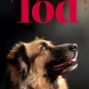 BoD - Books on Demand Esoterische Thriller-Herabschauender Tod