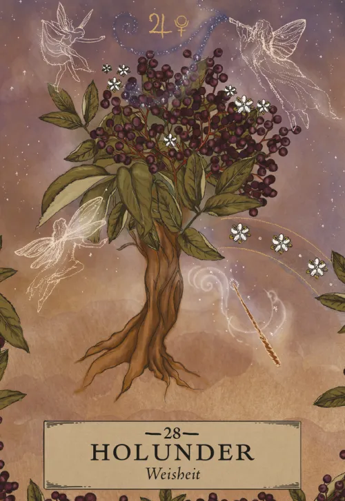 Königsfurt-Urania Spiritualität*Herbal Astrology Orakel: 55 Karten mit Botschaften und Anleitungen