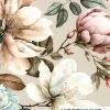 fontis Religion & Philosophie|Theologie*Hoffnung für alle. Die Bibel. - "Eden Edition"