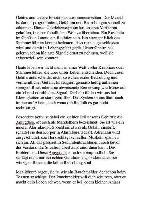 Reichenbacher Publishing Ratgeber*HÖR AUF, ALLES AN DICH RAN ZU LASSEN