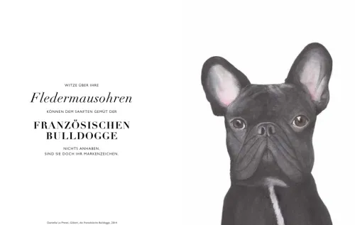 Hunde in der Kunst*DuMont Buchverlag GmbH Clearance