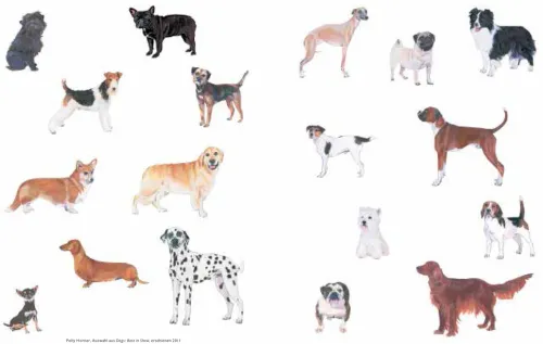 Hunde in der Kunst*DuMont Buchverlag GmbH Clearance