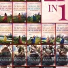 Stone Publishing B.V. Historische Abenteuerromane|Historische Fantasy*Im Bann der Clans und Krieger - Megabundle
