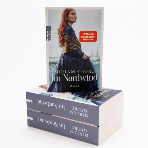 Rowohlt Taschenbuch Familiensagas*Im Nordwind