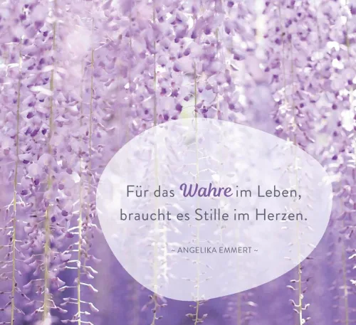 In der Stille blüht die Kraft*Groh Verlag Online
