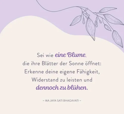 In der Stille blüht die Kraft*Groh Verlag Online