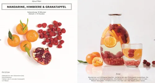 Dorling Kindersley Verlag Wein & Getränke*Infused Water, Eistee & Co.