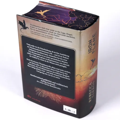 dtv Verlagsgesellschaft Romantasy|Romantasy*Iron Flame - Flammengeküsst