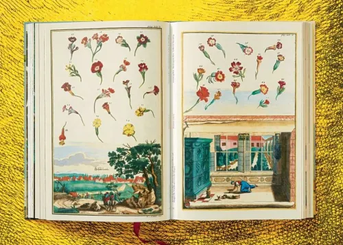 Taschen GmbH Künstler:Innen Im Fokus-J. C. Volkamer. The Book of Citrus Fruits