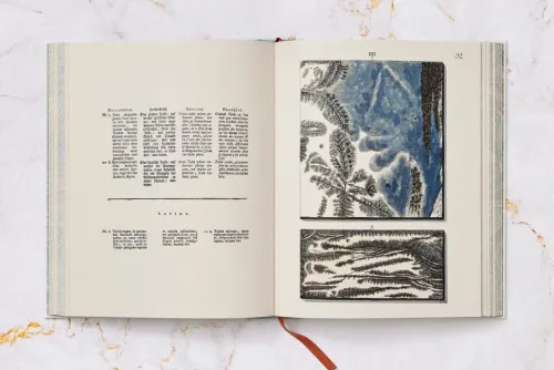 Taschen Verlag Lifestyle-Jan Christiaan Sepp. The Book of Marble