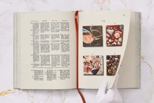 Taschen Verlag Lifestyle-Jan Christiaan Sepp. The Book of Marble