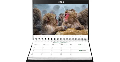 Kunth Kalender Wochenkalender*Japan - KUNTH Tischkalender 2026