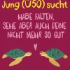 Heyne Taschenbuch Beziehungen & Sexualität-Jung (Ü50) sucht - Habe Falten, sehe aber auch deine nicht mehr so gut