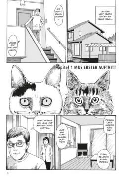 Carlsen Verlag GmbH Slice Of Life*Junji Itos Katzentagebuch