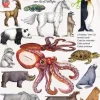 Atelier Color Bastelpapier & Origami-Karten Tiere basteln aus Papier Bastelbogen Ausschneidebogen