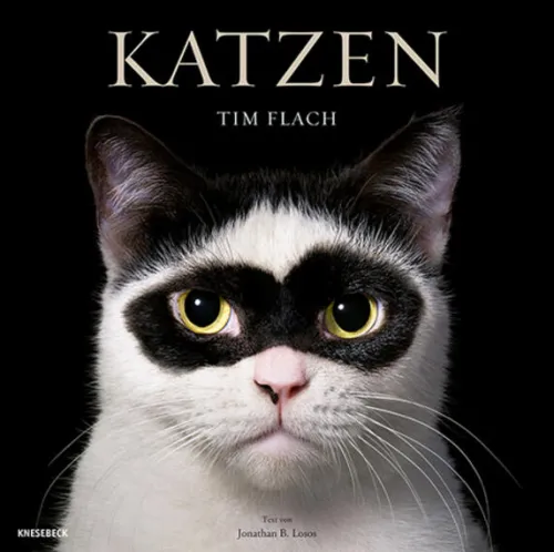 Knesebeck Von Dem GmbH Reisen, Orte & Menschen|Künstler:Innen Im Fokus*Katzen