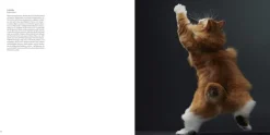 Knesebeck Von Dem GmbH Reisen, Orte & Menschen|Künstler:Innen Im Fokus*Katzen