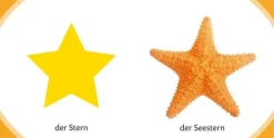 Kennst du das? Meine kleine Lernwelt*FISCHER Sauerländer Duden Online
