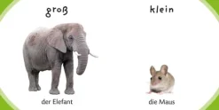 Kennst du das? Meine kleine Lernwelt*FISCHER Sauerländer Duden Online