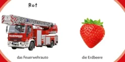 Kennst du das? Meine kleine Lernwelt*FISCHER Sauerländer Duden Online